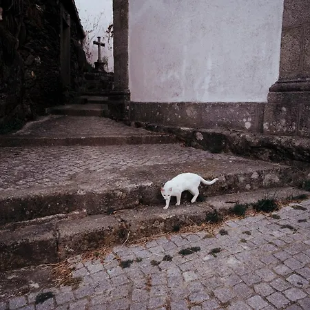 Casa Da Ferreira_vila Real 빌라레알